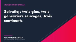 Couverture de l'article « Selvatiq : trois gins, trois genévriers sauvages, trois continents » — Formation Barman