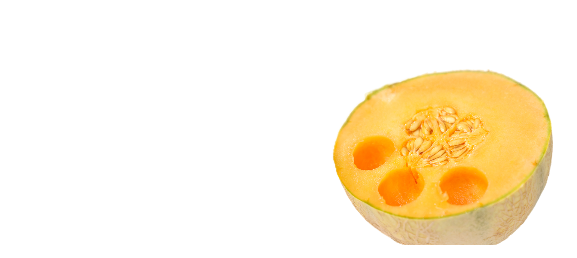 ingrédients de barman formation barman