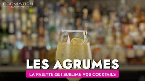La palette rafraîchissante d Agrumes pour sublimer vos cocktails