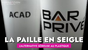 Une alternative à la paille en plastique : La paille en seigle