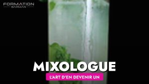 L art d être mixologue