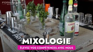 Élevez vos compétences avec notre formation mixologie