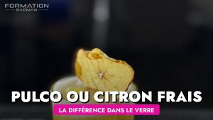 Pulco vs Jus de Citron Frais:Différences pour des Cocktails Parfaits