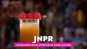 Explorez l élégance de l alcool JNPR