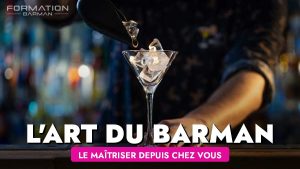 Maîtriser l Art du Barman, de chez vous